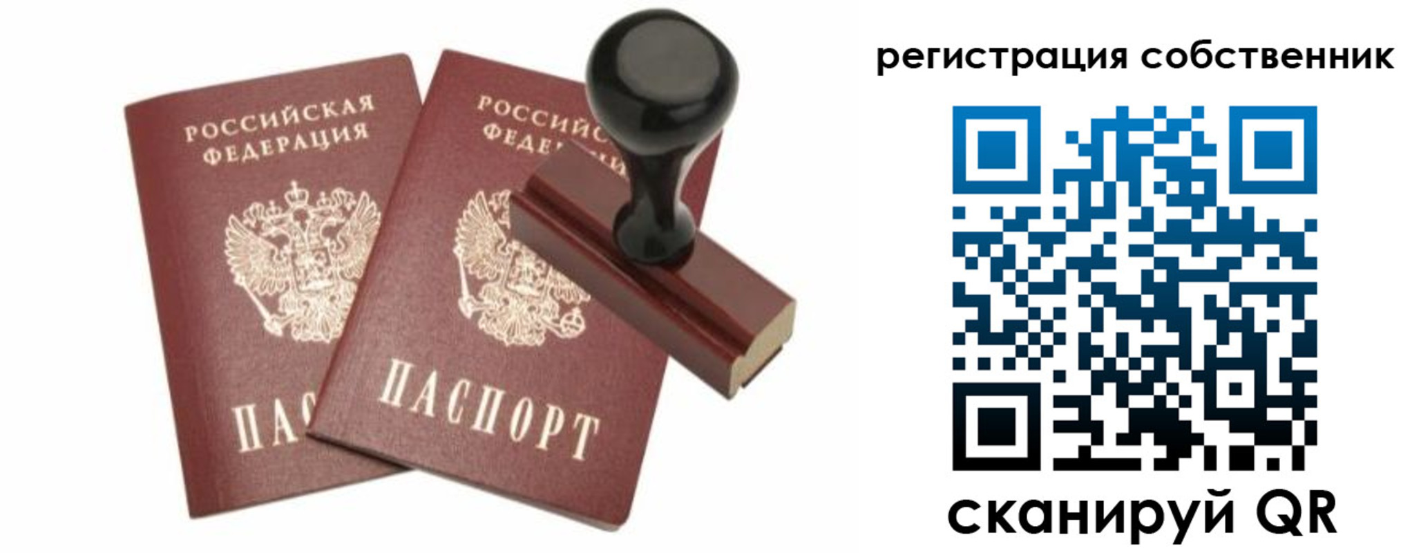 прописка паспорт в Палласовке